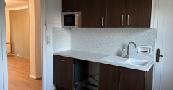 Appartement – T5 – TASSIN-LA-DEMI-LUNE – 1040