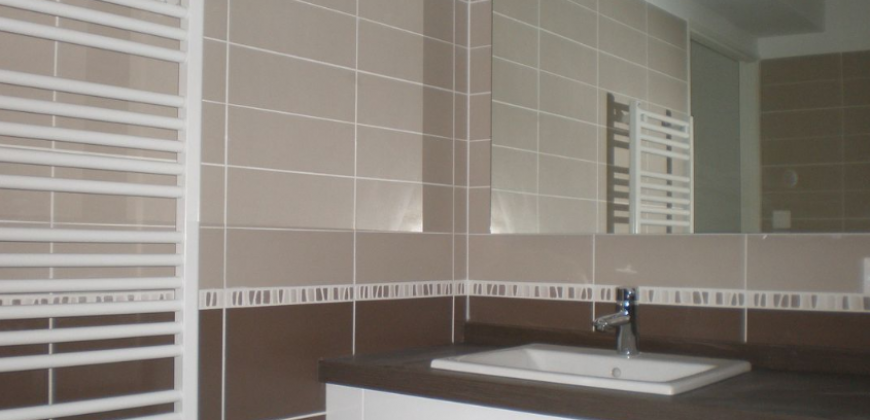 Appartement – T2 – TASSIN-LA-DEMI-LUNE – 820