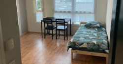 Appartement – Studio – LYON 7E ARRONDISSEMENT – 595