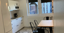 Appartement – Studio – LYON 7E ARRONDISSEMENT – 750