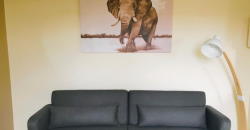 Appartement – T1 Bis – LYON 7E ARRONDISSEMENT – 780