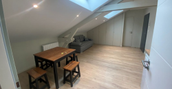 Appartement – T1 – VILLEURBANNE – 595