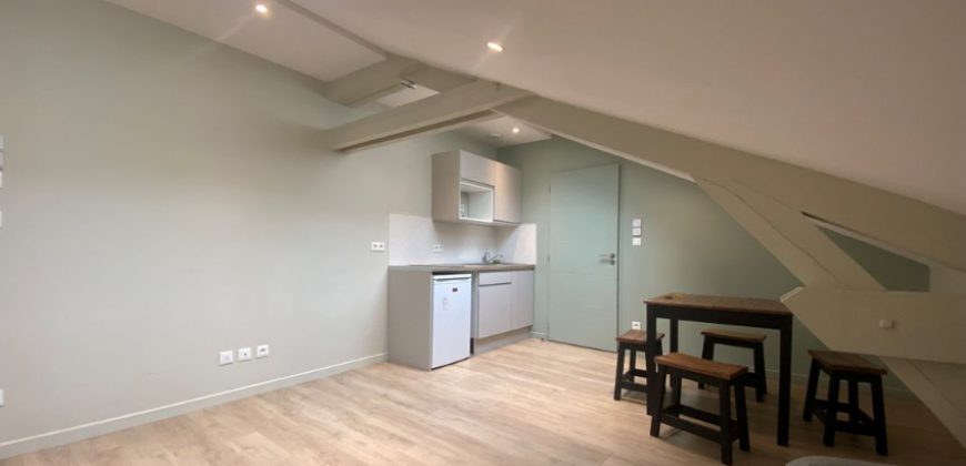 Appartement – T1 – VILLEURBANNE – 595