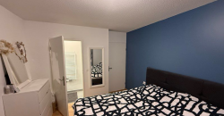 Appartement – T4 – MÉRIGNAC – 1500