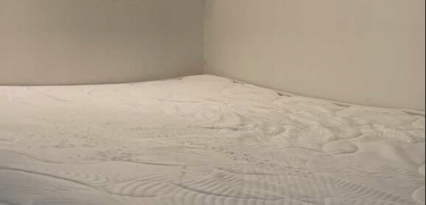 Appartement – Studio – BOULOGNE-BILLANCOURT – 739€