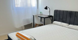 Appartement – Chambre – TOULOUSE – 520