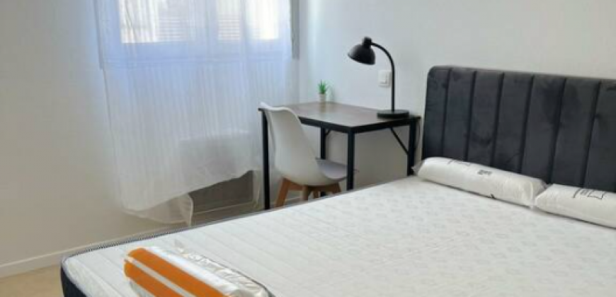 Appartement – Chambre – TOULOUSE – 520