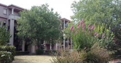 Appartement – T1 – TOULOUSE – 640