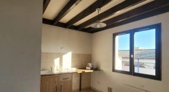 Appartement – T2 – VILLEURBANNE – 779