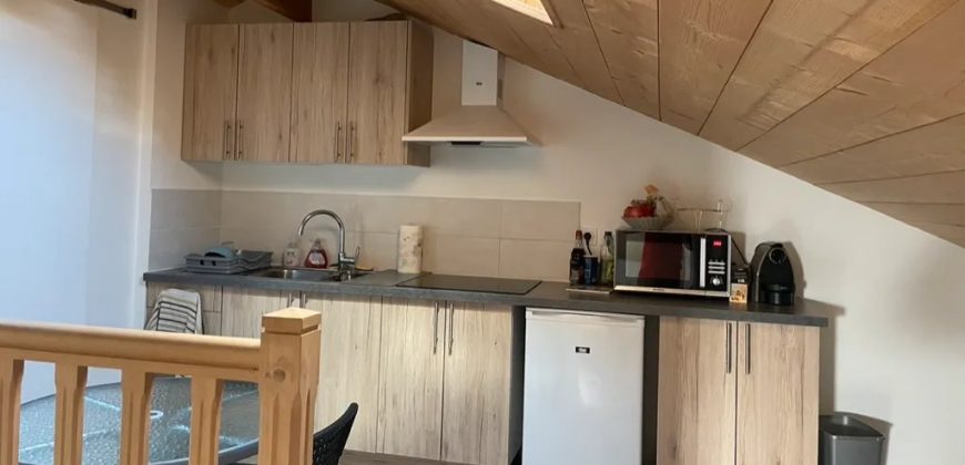 Appartement – T2 – VILLENAVE-D’ORNON – 573€