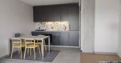 Appartement – T3 – VILLEURBANNE – 1280