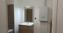 Appartement – T3 – VILLEURBANNE – 1025