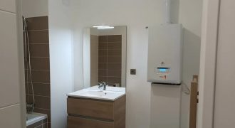 Appartement – T3 – VILLEURBANNE – 1025