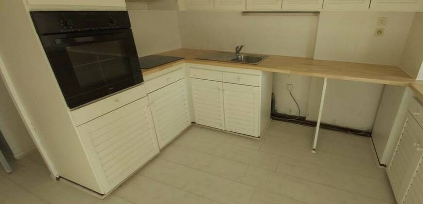 Appartement – T3 – TOULOUSE – 1100