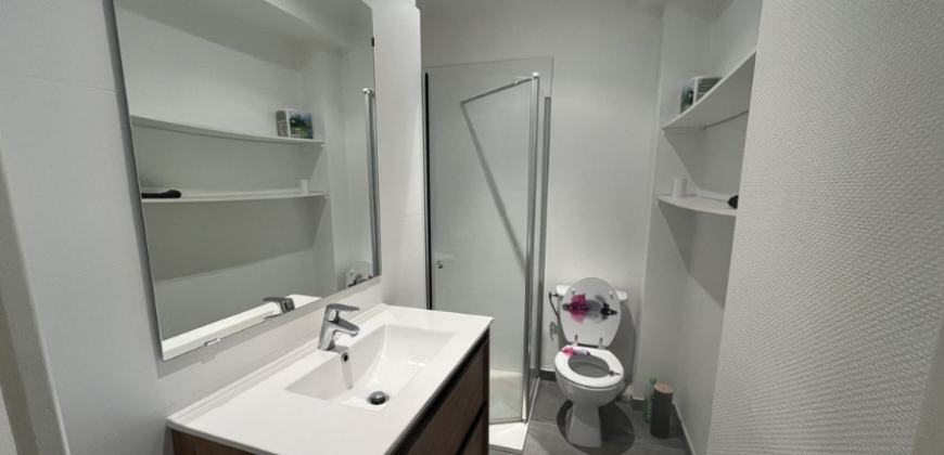 Appartement – Studio – TOULOUSE – 615