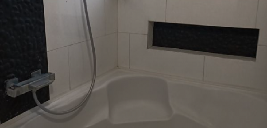 Appartement – T3 – DÉCINES-CHARPIEU – 950