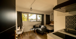 Appartement – Studio – TOULOUSE – 650