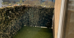 Appartement – T3 – CALUIRE-ET-CUIRE – 990