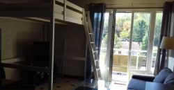 Appartement – Studio – OULLINS-PIERRE-BÉNITE – 498€