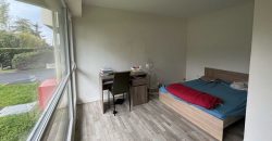 Appartement – Studio – LIBOURNE – 470€