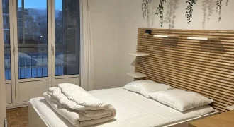 Appartement – T3 – TOULOUSE – 1200