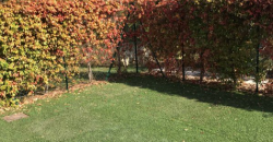 Appartement – T3 – NICE – 1250