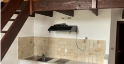 Appartement – Studio – COLOMIERS – 420