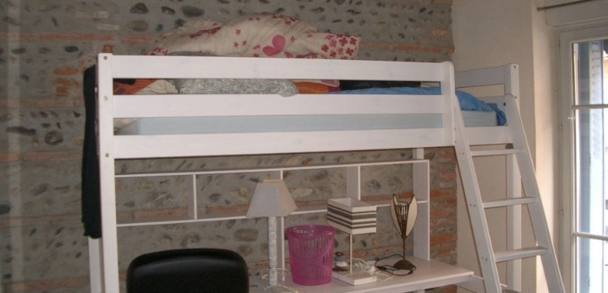 Appartement – T1 – TOULOUSE – 529