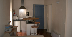 Appartement – T1 – TOULOUSE – 529