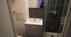 Appartement – T2 – TASSIN-LA-DEMI-LUNE – 710