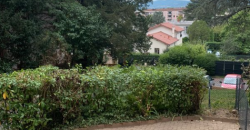 Appartement – T2 – TASSIN-LA-DEMI-LUNE – 875