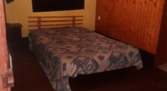 Appartement – T1 – TOULOUSE – 600