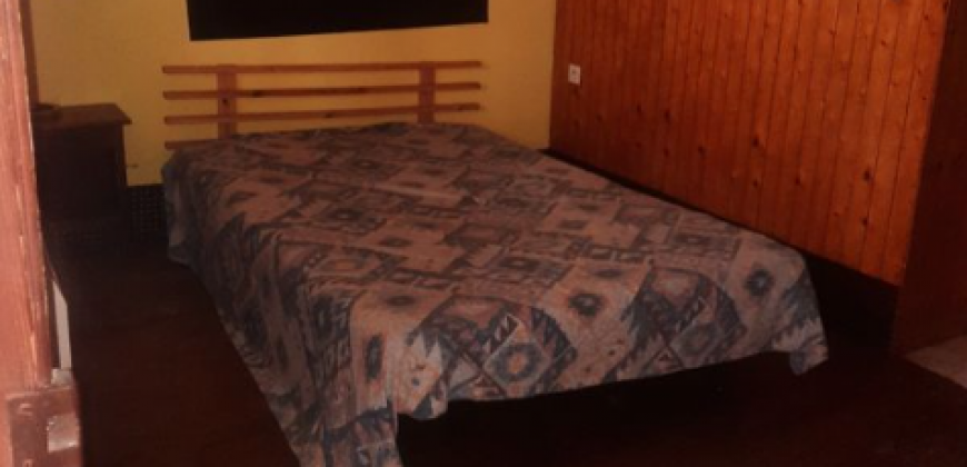 Appartement – T1 – TOULOUSE – 600