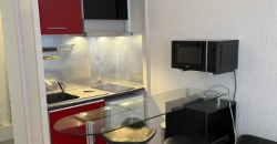 Appartement – Studio – TOULOUSE – 540