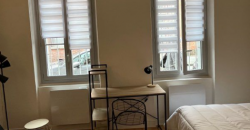 Appartement – Studio – TOULOUSE – 540