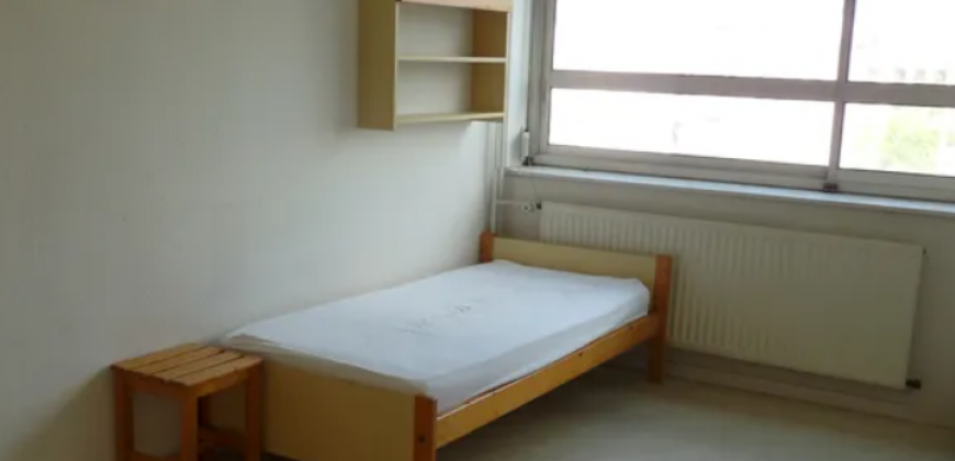 Appartement – Studio – LYON 7E ARRONDISSEMENT – 560