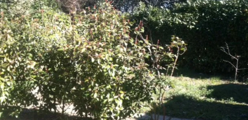 Appartement – Studio – RAMONVILLE-SAINT-AGNE – 520