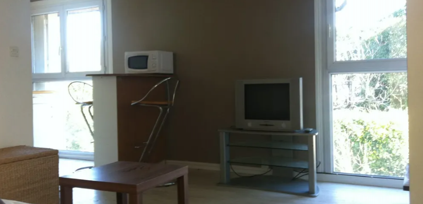 Appartement – Studio – RAMONVILLE-SAINT-AGNE – 520