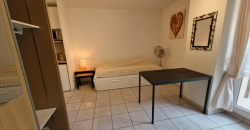 Appartement – Studio – TOULOUSE – 599