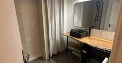 Appartement – T3 – TOULOUSE – 1200