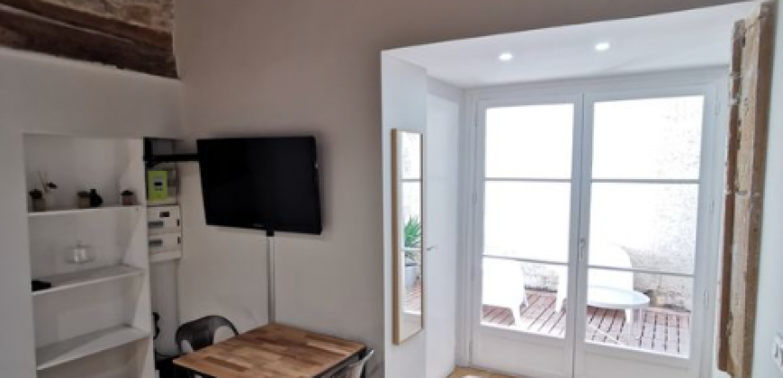 Appartement – Studio – LYON 1ER ARRONDISSEMENT – 825