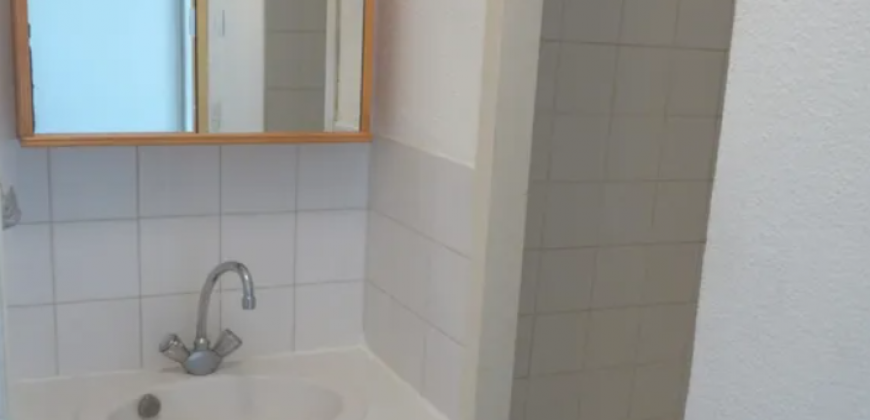 Appartement – Studio – LYON 7E ARRONDISSEMENT – 560