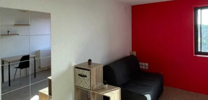 Appartement – T1 – TOULOUSE – 600
