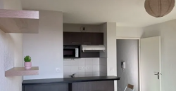 Appartement – T1 – TOULOUSE – 600