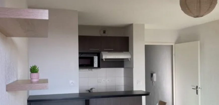 Appartement – T1 – TOULOUSE – 600
