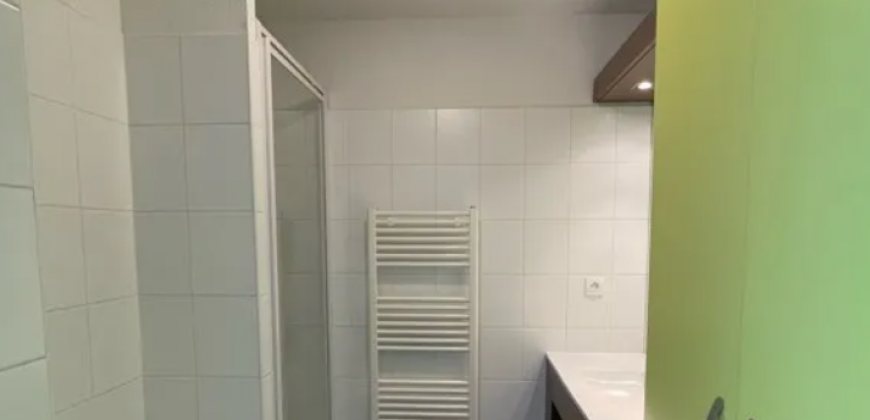 Appartement – T1 – TOULOUSE – 600