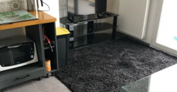 Appartement – T2 – Vaulx-en-Velin – 835