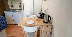 Appartement – T1 – VILLEURBANNE – 600