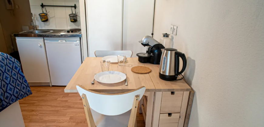 Appartement – T1 – VILLEURBANNE – 600