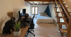 Soucieu-en-Jarrest – A LOUER T2 de 54m². Loyer: 512€